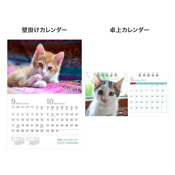 楽天市場 猫 23カレンダー 卓上 壁掛け 動物いのちの会いわて 保護猫 保護犬 チャリティー 猫用品の通販nekozuki ねこずき