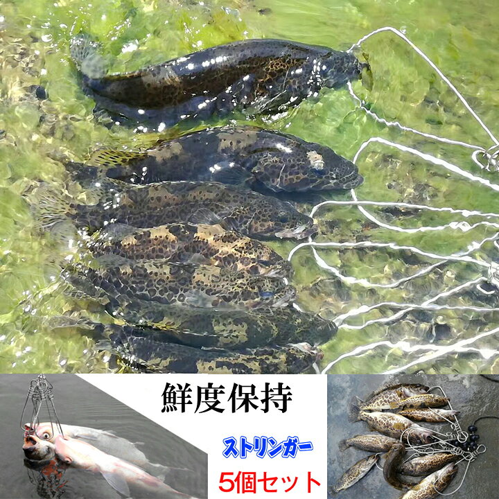 楽天市場 ストリンガー 5個セット ブルー リール式 ワイヤー ロープ付 釣り 鮮度保持 フィッシングツール フック型 釣り具店 C D