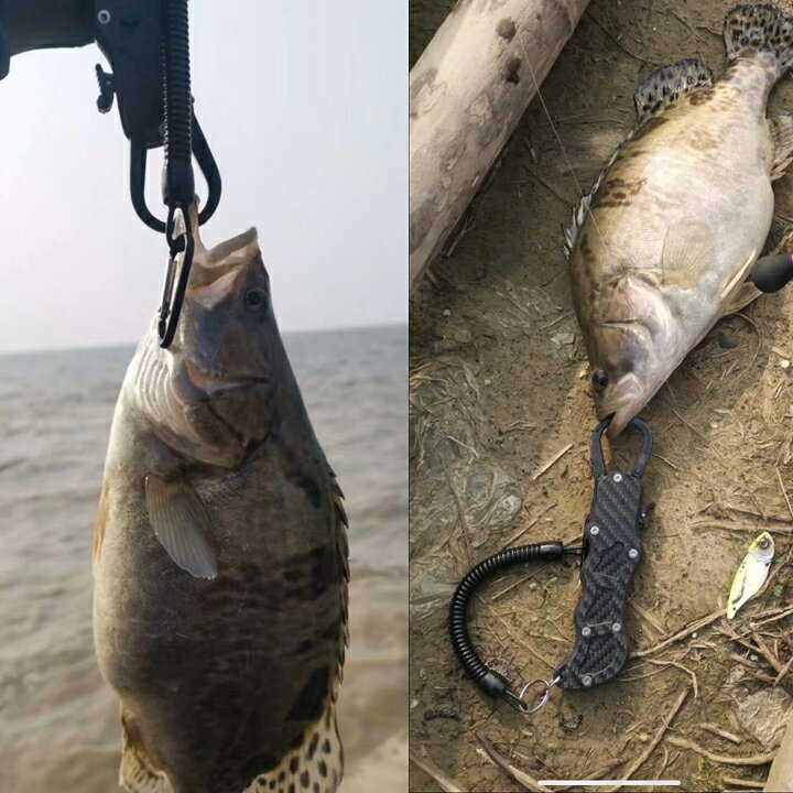 楽天市場 フィッシュグリップ カーボン ガラス繊維製 魚掴み ボガグリップ ルアー 釣り 魚ばさみ フィッシングスケール シーバス バス釣り 釣り具店 C D