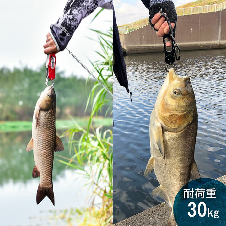 記念日 フィッシュグリップ ガンメタ 魚掴み ボガグリップ フィッシュキャッチャー フィッシングスケール ルアー バス釣り 釣り シーバス Yuzawacci Or Jp