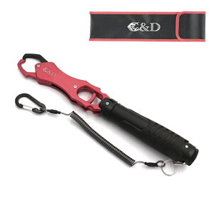 2024N V tBbVObv bh tBbVLb`[ ͂ {KObv tBbVOXP[ oXނ ނ A[ V[oX