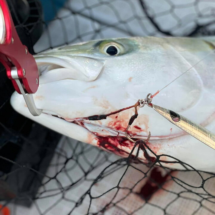 正規品送料無料 フィッシュグリップ フィッシングツール 計測機能付き バス釣り 釣り ルアー用 フィッシュキャッチャー 魚掴み 父の日 プレゼント ギフトstar Materialworldblog Com