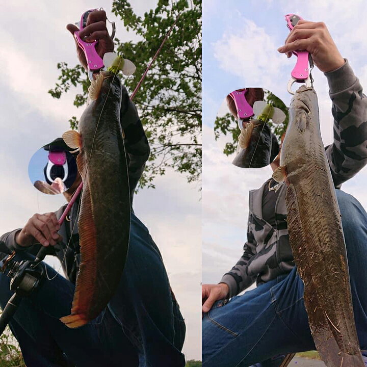 楽天市場 フィッシュグリップ グリーン フィッシュグスケール 釣り道具 バス釣り 釣り 魚掴み器 魚ばさみ シーバス ルアー釣り 釣り具店 C D