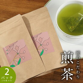 静岡煎茶 ティーバッグ お茶 緑茶 静岡茶 煎茶 蒸し 濃い 渋味 新茶 冷茶 藤枝 富士 30パック（2g15袋入り×2） マラソン ポイント 買い回り 送料無料 SS お歳暮