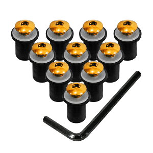 �X�N���[���{���g 5mm �S�[���h �� GSX1300R�� �n���u�T GSX-R1000 GSX-R600 GSX-R750 GSX-R1100 GS1200SS RGV250 �X�Y�L �E�F���i�b�g