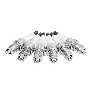 ���Y �O�����A PY31 PAY31 �C���W�E���v���O 6�{ �X�p�[�N�v���O 2240101P16 9802 �݊� �v���O �_�΃v���O �d���i �V�i
