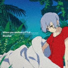 BlooDye／Where　you　are　feat．　LITTLE（KICK　THE　CAN　CREW） (アニメ盤/CD+DVD)[XNLD-10088]【発売日】2021/4/7【CD】