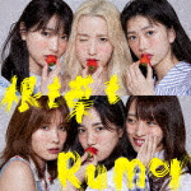 AKB48／根も葉もRumor (初回限定盤／Type B/CD+DVD)[KIZM-90699]【発売日】2021/9/29【CD】