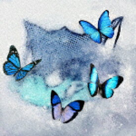 ★特典アナザージャケット付き★WOLF　HOWL　HARMONY　from　EXILE　TRIBE／Frozen　Butterfly[RZCD-77925]【発売日】2024/2/14【CD】