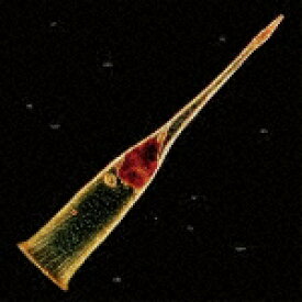 レプラス／メロディーズ・オブ・アトーンメント (金曜販売開始商品/)[SICP-6583]【発売日】2024/8/30【CD】