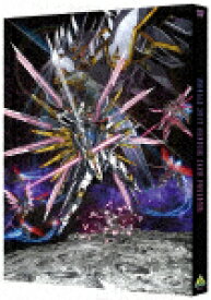 機動戦士ガンダムSEED　FREEDOM (本編125分＋特典6分/)[BCBA-5175]【発売日】2024/12/25【DVD】