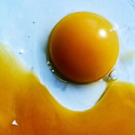 RADWIMPS／あにゅー[UPCH-20702]【発売日】2025/10/8【CD】