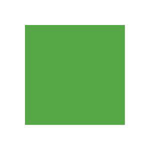 i܂Ƃ߁jWCebNX PF肪ݗ 100 B260J-6y×20Zbgz