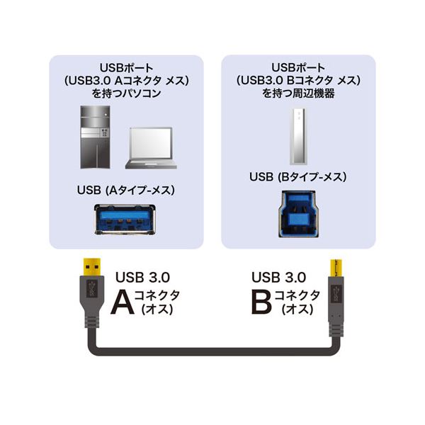 楽天市場】【5個セット】 サンワサプライ USB3.0ケーブル 2m KU30