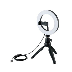 GR LEDOCg B胉Cg 3F ő640lm 10iK USB-Ad zM ~jOrX^ht {[WCgt 16cm DE-L02BK