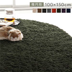 O}bg O~ R100×150cm ȉ~` O[ 􂦂 @Ή ~ߕt y ^ѕ֗ zbgJ[ybgΉ I[V[YΉ ܂肽ݎ[ VM[O rO _C