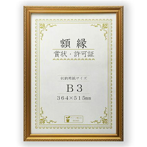樹脂製 金色賞状額 金消 R 箱入 B3 収納寸法:364×515mm 賞状 額 表彰状 卒業証書 免許書 許可証 額縁 フレーム