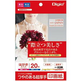 （まとめ） Digio2 インクジェットプリンタ用紙 印画紙タイプ PC／20枚 JPSK2-PC-20【×5セット】