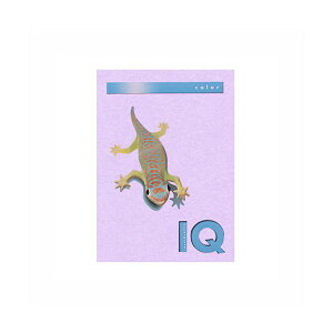 i܂Ƃ߁j ɓ oCIgbvJ[ A4 500 80g^m2 BT510 x_[ y×2Zbgz