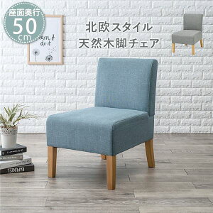 _CjO`FA 1P 51cm 1l| u[ ؐ rt _CjO\t@[ H֎q gi rOysz