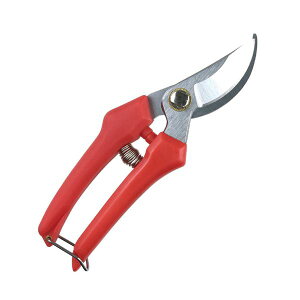 i܂Ƃ߁jWXe g₷oT~  180mm 811812y×5Zbgz