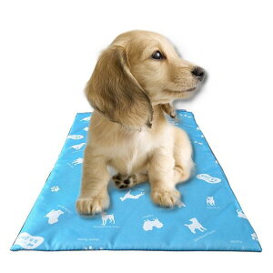 ��������񁕔L�������� �؂��ƂЂ���W�F���}�b�g