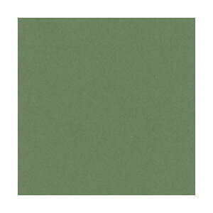 �����e�b�N �j���[�J���[R �l�� �I���[�u 4NCR-316 1�p�b�N(100��)