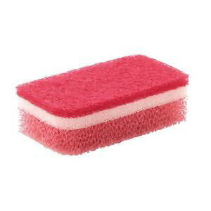 (܂Ƃ) \tgX|W/Lb`X|W ysN̓CG[z { Lb`pi wLbVx y240Zbgz