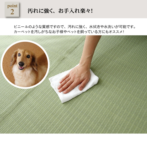 洗える PPカーペット/ラグマット 日本製 防カビ 防ダニ アウトドア対応 
