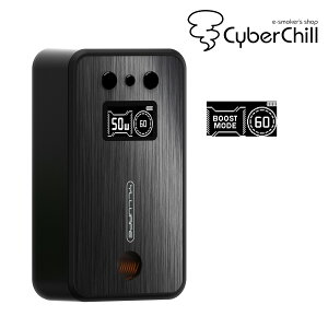 �m���������nYLL IH 2.0 Induction Heater Dynavap��pIH by YLL VAPE �������� �d�q�^�o�R