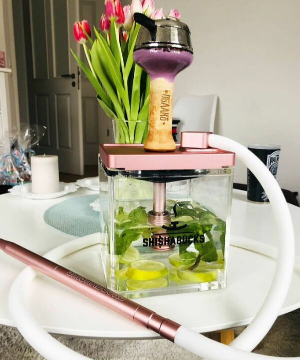 楽天市場】［送料無料］Shishabucks Cloud Micro Rose Gold シーシャ  