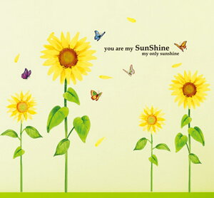 yyou are my SunSshinezq}@EH[XebJ[ EH[ XebJ[ |X^[ V[ k  \ ͂ ǎ ǃV[ ԁ@A