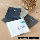 (今治袋ラッピング)【お名前刺繍入り】ハンカチ 1枚 今治タオル 名入れ シエル ギフト タオル 送料無料 (ポスト投函) タオルハンカチ プチギフト タオルギフト ハンドタオル シンプル 大人 日本製 レディース メンズ 袋入れ ※紙袋付属なし・のし対応不可