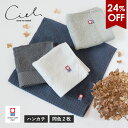 【24％OFFセール】今治タオル ハンカチ 2枚セット シエル タオル 送料無料 (ポスト投函) ハンドタオル ミニハンカチ タオルハンカチ レディース メンズ 日本製 速乾 大人 子供 今治タオルブランド ハンカチタオル 新生活 かわいい
