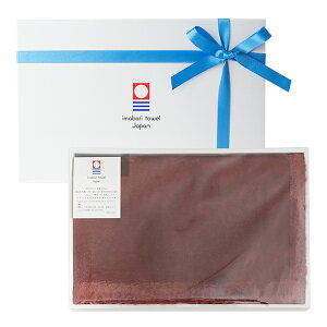 (Mtg)uPbg  Aj[ Ђ| ^I  ܕt 98×70cm Mtg{bNX hV̓ { 100 􂦂 ^I   o[Vu [΍ 