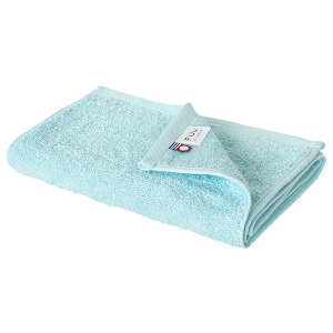 y󂠂AEgbgz^I X tFCX^I 1 FUu ze^Cv ^I  (|Xg) 22×85cm ӂӂ  ׂ ׂ Lb` ʏ gC nK[ ^I|