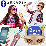 【訳あり（外箱に傷あり）通常9,999円→4,980円・在庫限り】【楽天1位】SDRD カラオケ カラオケ 家庭用 …