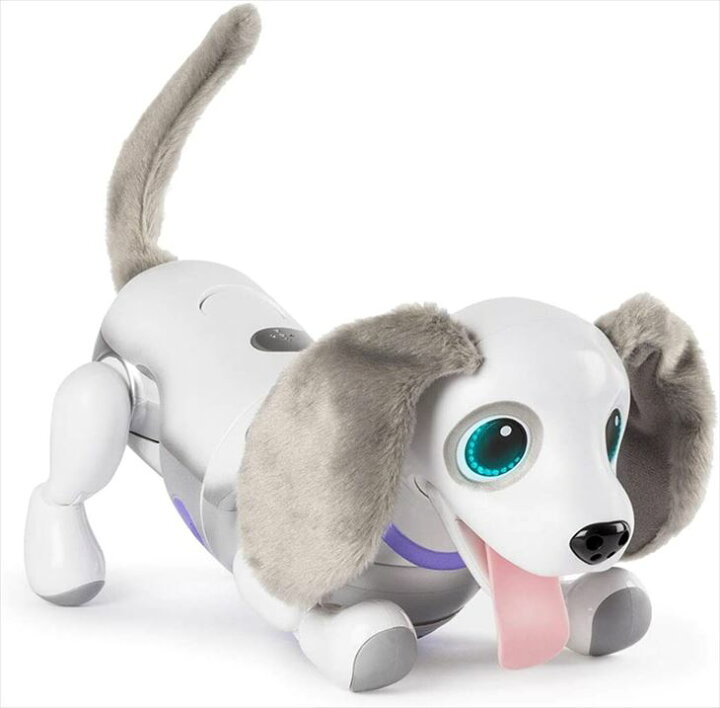 楽天市場 送料無料 ハロー ズーマー ミニチュアダックス ホワイト タカラトミー Takara Tomy ロボットワンちゃん 日常会話や英語など50以上の言葉を認識 6歳以上 楽天最安値に挑戦中 慶應式知育玩具 学習玩具専門店