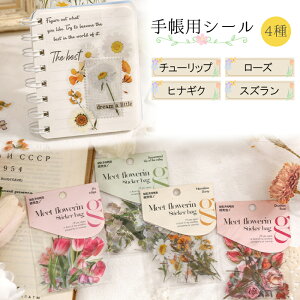 Iׂ V[ 40 4 XPW[ 蒠p  `[bv [Y@XY@qiMN pvc@g }Xe@V[ ii Mtg ̓ Cyberplugs