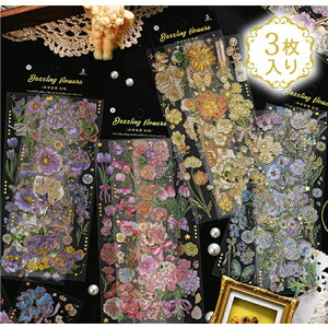 3 4 ̋/┓ ` CG[  sN u[ Iׂ V[ XPW[ 蒠pq q qǂ  Ղ re[W }Xeg `ii ql