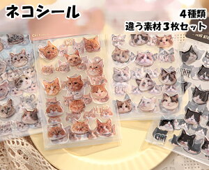 Iׂ4 킢 LV[ 3D ՂՂ PVC PET  3Zbg XPW[ 蒠p q w qǂ re[W ҂҂g fR fR[V S[h V[ ii 