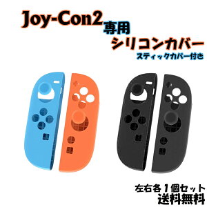 yyVX[p[Z[P10{ Joy-Con2 VRJo[ XCb`2 Switch2 P[X {^ Jo[ WCR Rg[[ ̎ Sʕی ϋv LYh~ pP[X G蔲Q ~ ~