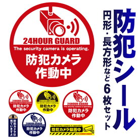 ★ 防犯 ステッカー 6枚セット ★ 円形 丸型 長方形防犯装置作動中 ダミー 防水 シール 防犯グッズ セキュリティー 送料無料 Cyberplugs