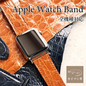 �A�b�v���E�H�b�` �o���h �����Y ���f�B�[�X �v ���U�[ ���� ���j�v �J�C�}�� �c�� applewatch �o���h 38mm 40mm 41mm 42mm 44mm 45mm 49mm Series1 2 3 4 5 6 SE 7 8 9 Ultra applewatch7 applewatch6 applewatchSE �S�@��Ή� MS