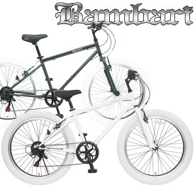 26インチ バンバリ ファットバイク QR 6段変速 スポーツ自転車 マウンテンバイク風 マウンテンバイク アウトドア 釣り サーフィン 海 お客様組立