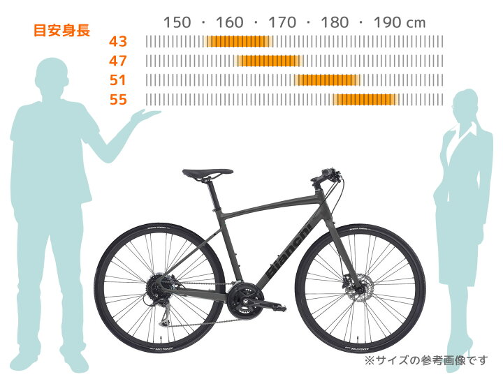 楽天市場】BIANCHI C-SPORT 2 2025年モデル イタリアブランド 油圧 