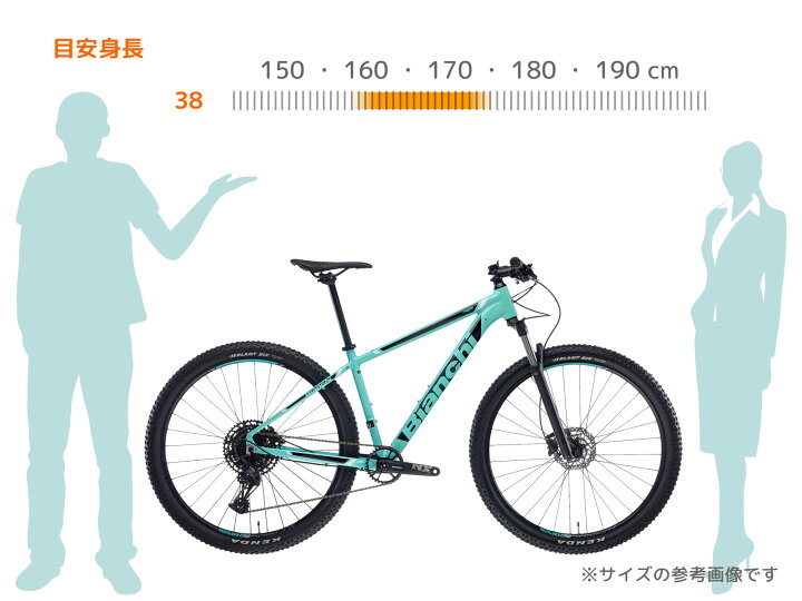 楽天市場】特別提供品 29インチ イタリアブランド ビアンキ マウンテン 
