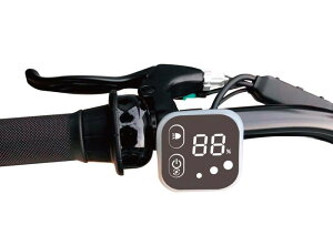 lp^XCb`Jo[ uaXg d] Jo[ dAVXg] h obe[ pl ی Rg[[ }n rbP nCfB[ pX pass TCN ʋΒʊw LYh~ V