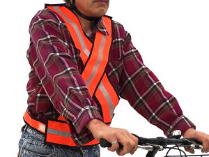 X|Cgő10{(ubNtCf[)] WMO OƂ S˃xXg NX}X