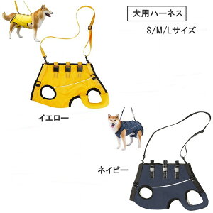 yzpn[lX V U Q nr s⏕ pn[lX ȒPE